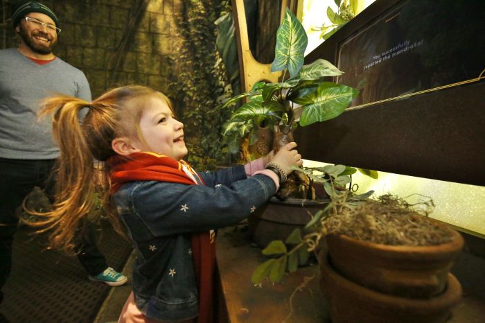 Harry Potter: The Exhibition Boston